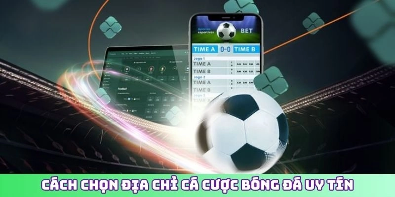Cách chọn địa chỉ cá cược bóng đá uy tín