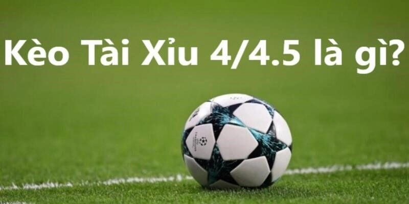 Khám phá về kèo 4/4.5 hot hòn họt tại 79king