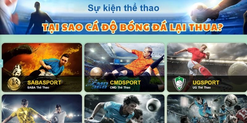 GIẢI ĐÁP TẠI SAO CÁ ĐỘ BÓNG ĐÁ LẠI THUA & KHÓ CHƠI?